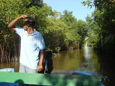 The Swamp and Red Ibiz